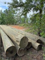 poste de madera electrico tratamiento CCA precio venta información promoción Perú Lima, callao, Arequipa, trujillo, tarapoto, pucallpa, tumbes, amazonas, tacna, cusco, Áncash apurimac, ayacucho, cajamarca, Huancavelica, Huánuco, Ica, junin, la libertad, lambayeque, chiclayo, huacho, loreto, puerto maldonado, madre de dios, Moquegua, pasco, puno, Ucayali, moyobamba y Piura Colombia Venezuela Ecuador Brasil Chile Paraguay Uruguay Mexico Bolivia Argentina