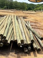 poste de madera para alumbrado tratamiento CCA precio venta información promoción Perú Lima, callao, Arequipa, trujillo, tarapoto, pucallpa, tumbes, amazonas, tacna, cusco, Áncash apurimac, ayacucho, cajamarca, Huancavelica, Huánuco, Ica, junin, la libertad, lambayeque, chiclayo, huacho, loreto, puerto maldonado, madre de dios, Moquegua, pasco, puno, Ucayali, moyobamba y Piura Colombia Venezuela Ecuador Brasil Chile Paraguay Uruguay Mexico Bolivia Argentina