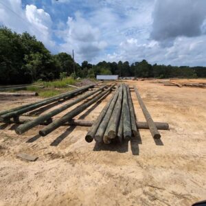 postes de madera para lineas electricas tratamiento CCA precio venta información promoción Perú Lima, callao, Arequipa, trujillo, tarapoto, pucallpa, tumbes, amazonas, tacna, cusco, Áncash apurimac, ayacucho, cajamarca, Huancavelica, Huánuco, Ica, junin, la libertad, lambayeque, chiclayo, huacho, loreto, puerto maldonado, madre de dios, Moquegua, pasco, puno, Ucayali, moyobamba y Piura Colombia Venezuela Ecuador Brasil Chile Paraguay Uruguay Mexico Bolivia Argentina