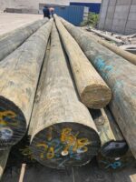 postes de madera para electrificación precio venta información promoción Perú Lima, callao, Arequipa, trujillo, tarapoto, pucallpa, tumbes, amazonas, tacna, cusco, Áncash apurimac, ayacucho, cajamarca, Huancavelica, Huánuco, Ica, junin, la libertad, lambayeque, chiclayo, huacho, loreto, puerto maldonado, madre de dios, Moquegua, pasco, puno, Ucayali, moyobamba y Piura Colombia Venezuela Ecuador Brasil Chile Paraguay Uruguay Mexico Bolivia Argentina