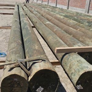 postes de madera para electrificación precio venta información promoción Perú Lima, callao, Arequipa, trujillo, tarapoto, pucallpa, tumbes, amazonas, tacna, cusco, Áncash apurimac, ayacucho, cajamarca, Huancavelica, Huánuco, Ica, junin, la libertad, lambayeque, chiclayo, huacho, loreto, puerto maldonado, madre de dios, Moquegua, pasco, puno, Ucayali, moyobamba y Piura Colombia Venezuela Ecuador Brasil Chile Paraguay Uruguay Mexico Bolivia Argentina