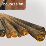 Poste de Madera Tratada Abeto de Douglas Clase 1 100FT (30.48m) Preservante QNAP ANSI 05.1 AWPA precio venta información promoción Perú Lima, callao, Arequipa, trujillo, tarapoto, pucallpa, tumbes, amazonas, tacna, cusco, Áncash apurimac, ayacucho, cajamarca, Huancavelica, Huánuco, Ica, junin, la libertad, lambayeque, chiclayo, huacho, loreto, puerto maldonado, madre de dios, Moquegua, pasco, puno, Ucayali, moyobamba y Piura Colombia Venezuela Ecuador Brasil Chile Paraguay Uruguay Mexico Bolivia Argentina