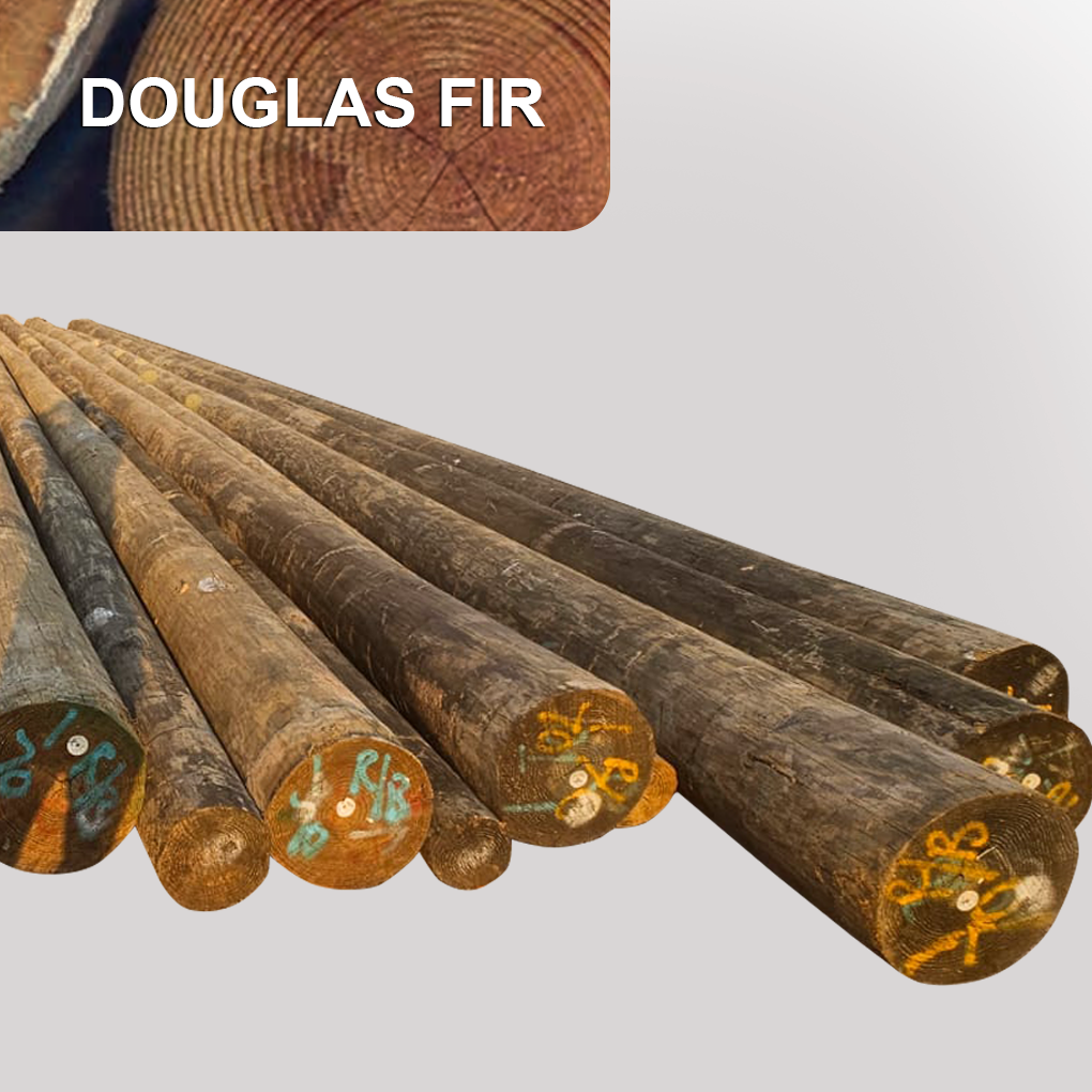 Poste de Madera Tratada Abeto de Douglas Clase 1 90FT (27.432m) Preservante QNAP ANSI 05.1 AWPA precio venta información promoción Perú Lima, callao, Arequipa, trujillo, tarapoto, pucallpa, tumbes, amazonas, tacna, cusco, Áncash apurimac, ayacucho, cajamarca, Huancavelica, Huánuco, Ica, junin, la libertad, lambayeque, chiclayo, huacho, loreto, puerto maldonado, madre de dios, Moquegua, pasco, puno, Ucayali, moyobamba y Piura Colombia Venezuela Ecuador Brasil Chile Paraguay Uruguay Mexico Bolivia Argentina