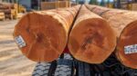 Poste de Madera Tratada Cedro Rojo CL2X80FT (24.38m) Preservante CCA, ANSI 05.1/AWPA