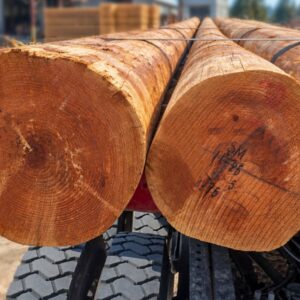 Poste de Madera Tratada Cedro Rojo CL2X80FT (24.38m) Preservante CCA, ANSI 05.1/AWPA